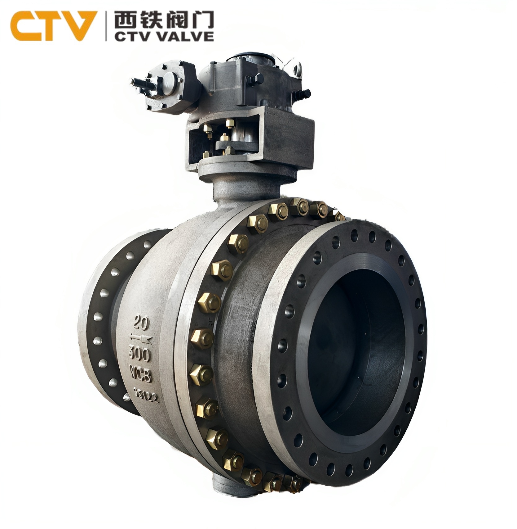 C����ĥ���y